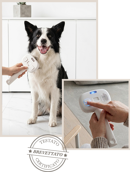 Spazzola SkinPetCare con kit lozioni